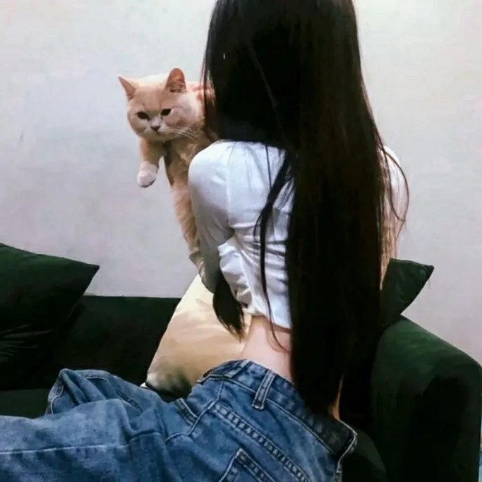白狐